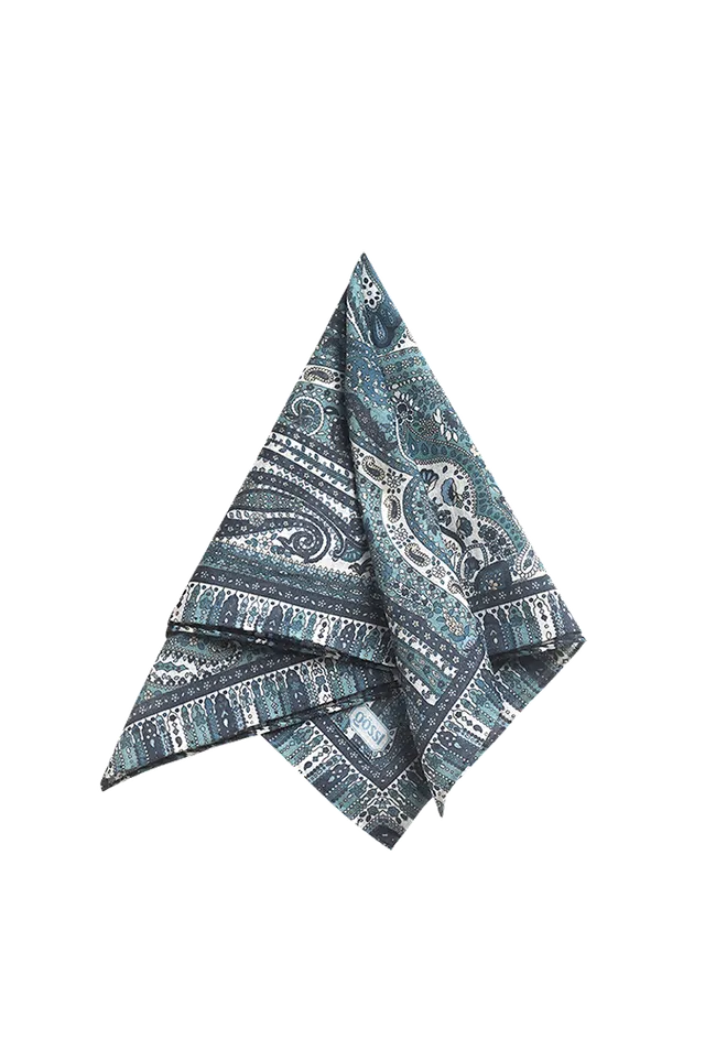 g-ssl-stecktuch-alles-paisley-herren-einstecktuch-baumwolle-blau-grau image 1