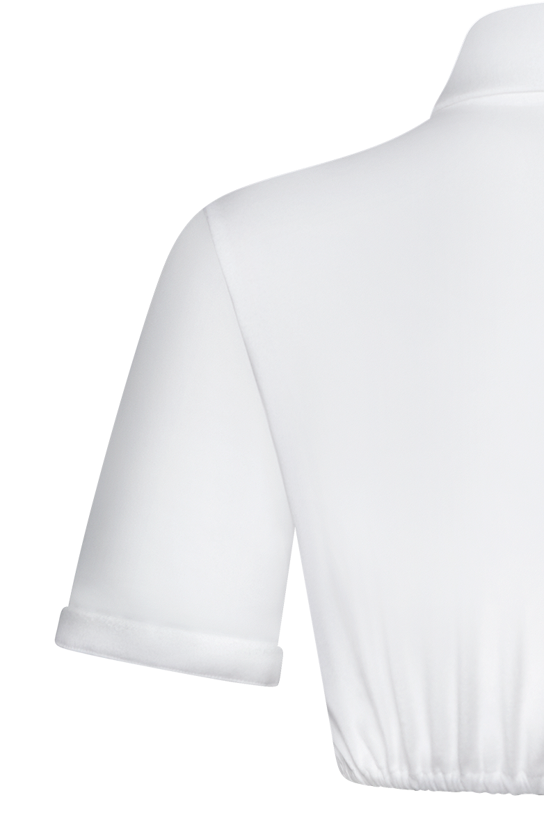 g-ssl-sportlich-elegant-damen-dirndlbluse-jersey-gams-stick image 6