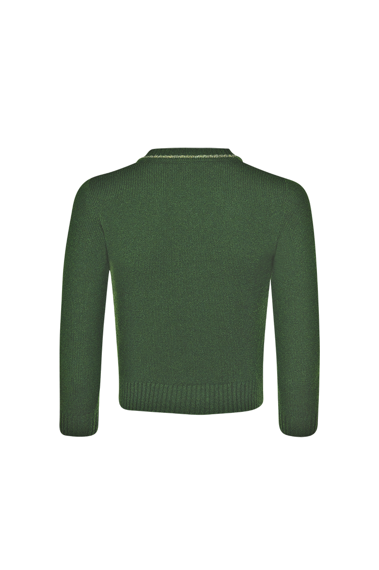 g-ssl-kleiner-adler-kinder-pullover-lammwolle-v-ausschnitt-gr-n image 2