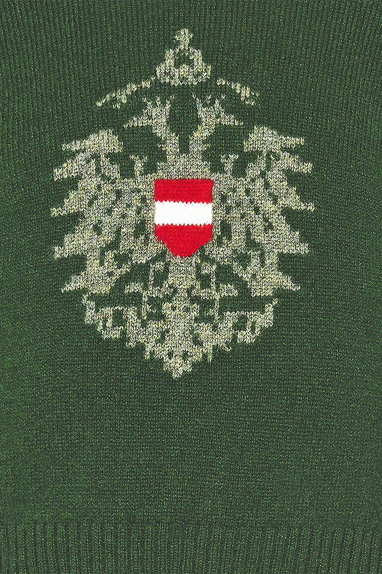 g-ssl-kleiner-adler-kinder-pullover-lammwolle-v-ausschnitt-gr-n image 4