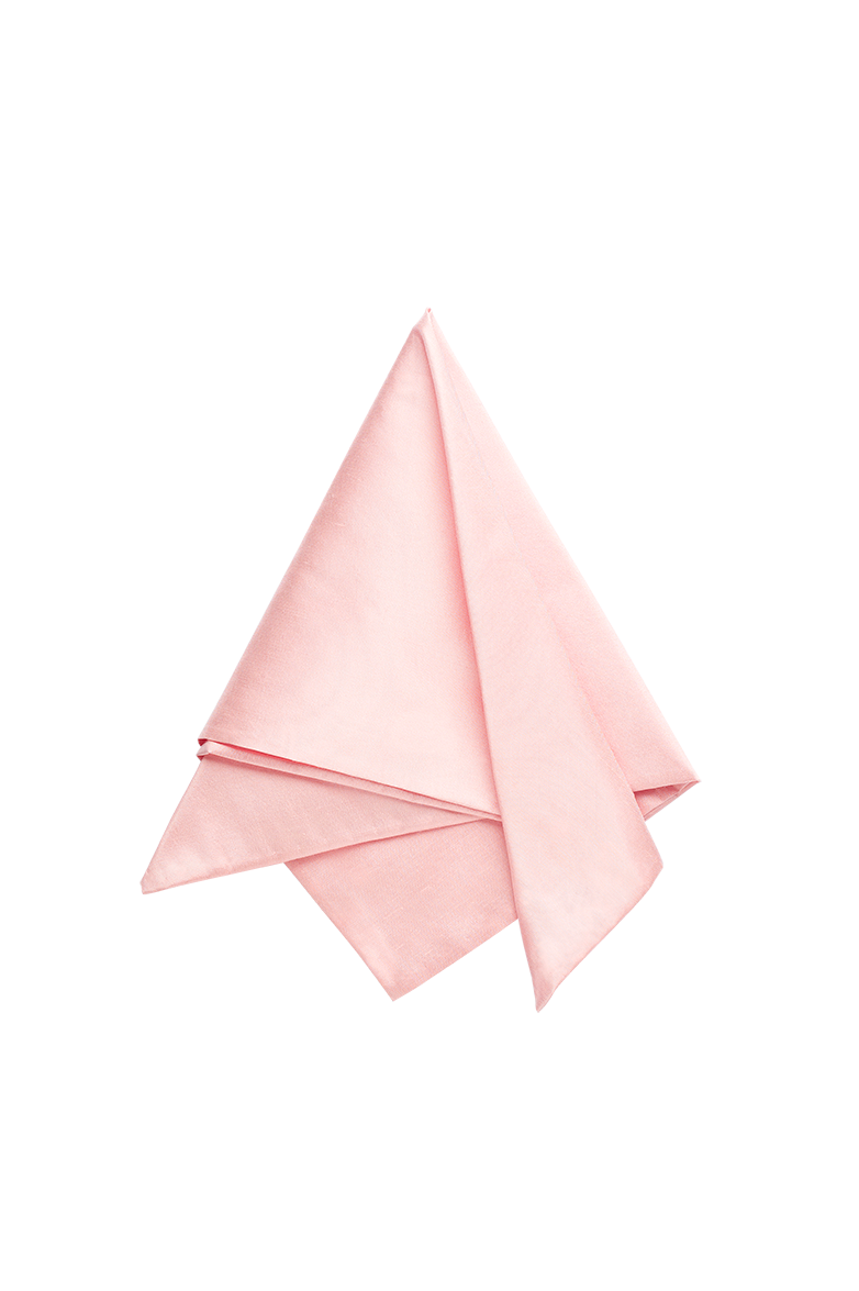 g-ssl-stecktuch-festlich-herren-seide-rosa image 1