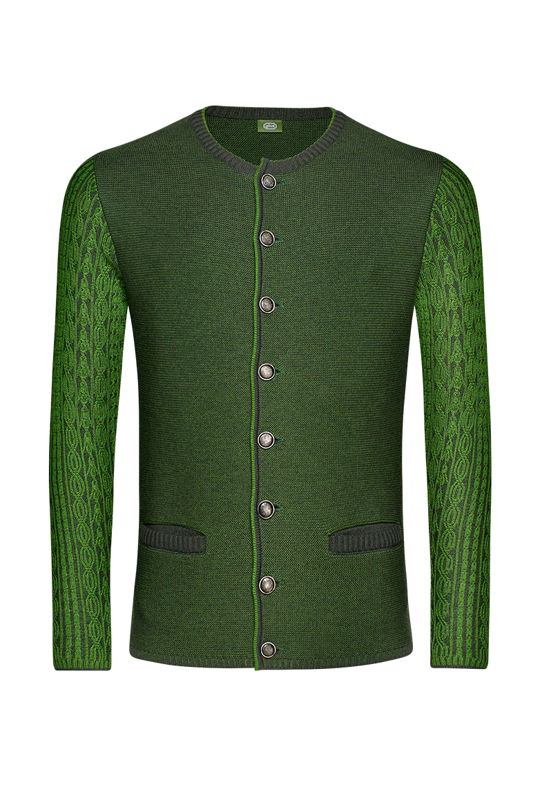 g-ssl-strickjacke-zur-ledernen-herren-trachtenjacke-gr-n-schurwolle image 1