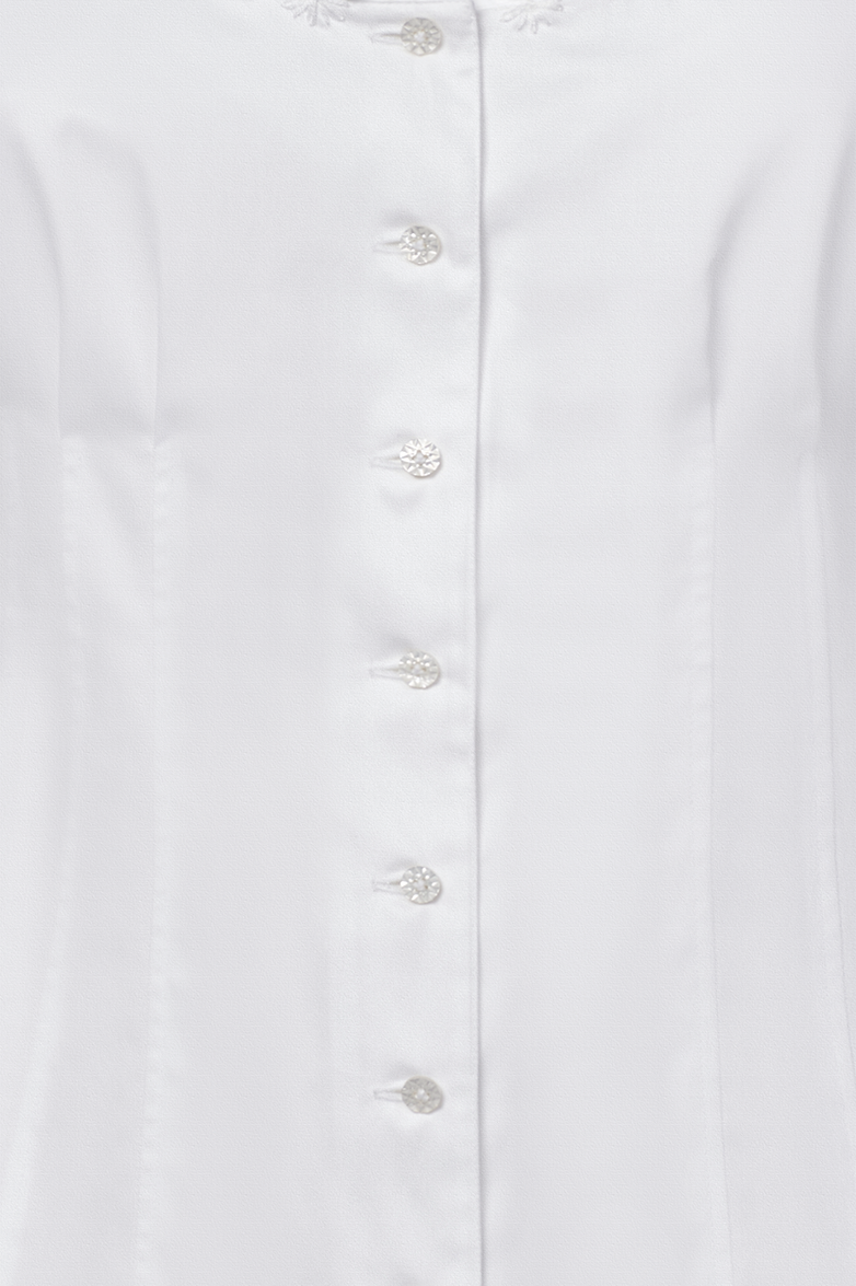 g-ssl-starnberger-tr-ume-dirndlbluse-aus-anna-plochl-satin image 4