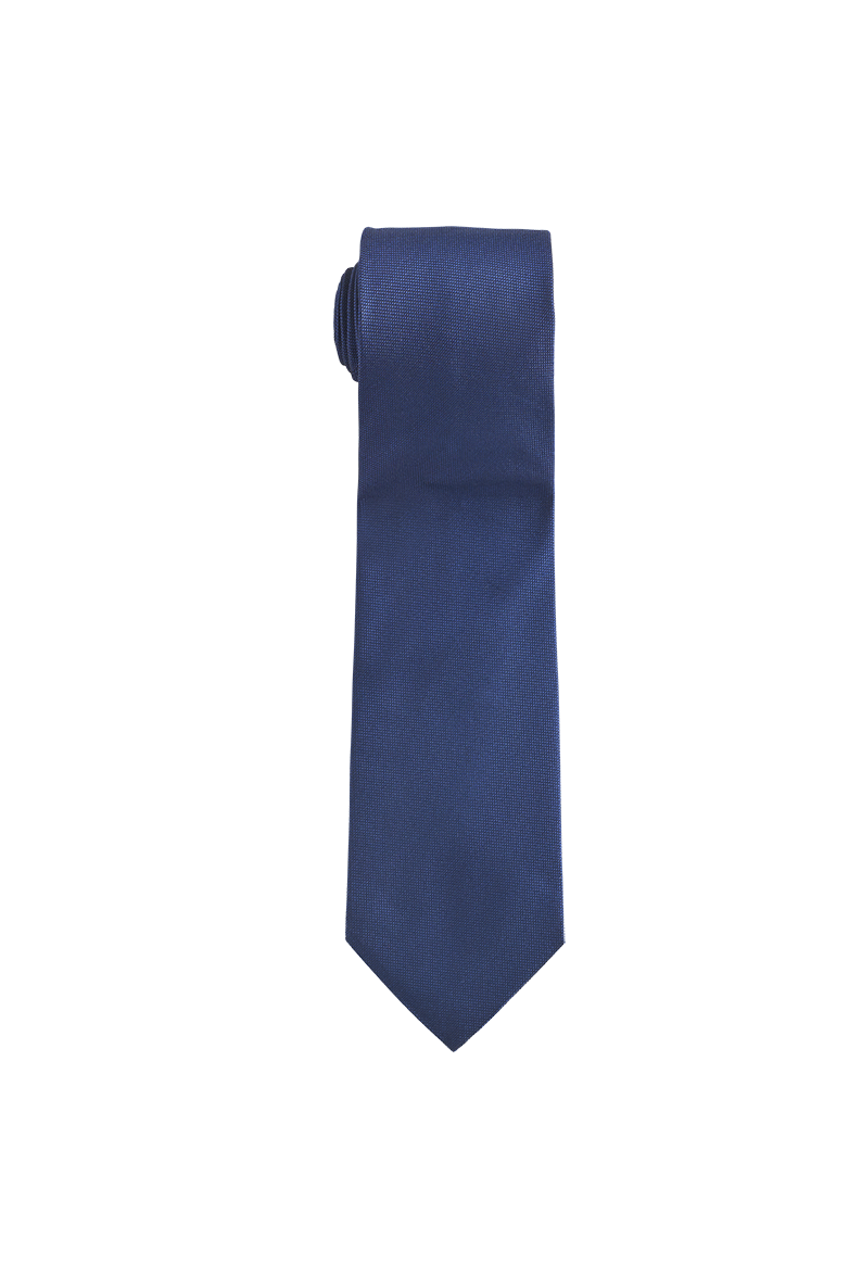 g-ssl-mann-von-welt-krawatte-aus-seide-blau image 1