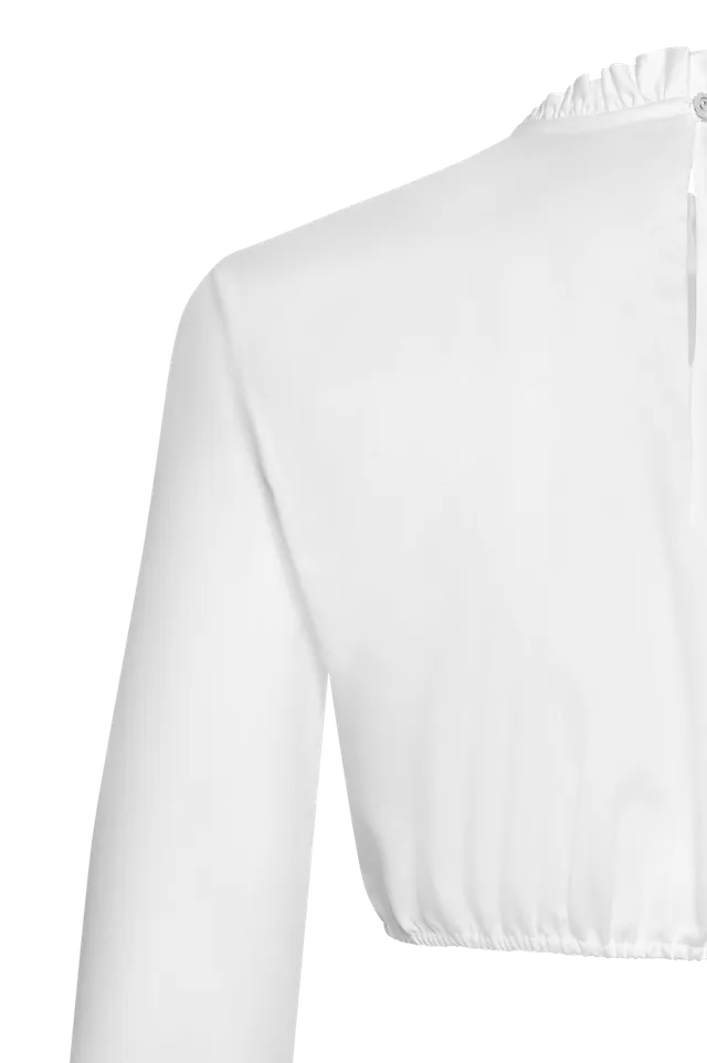 g-ssl-dirndlbluse-mit-rosen-anna-plochl-satin image 1