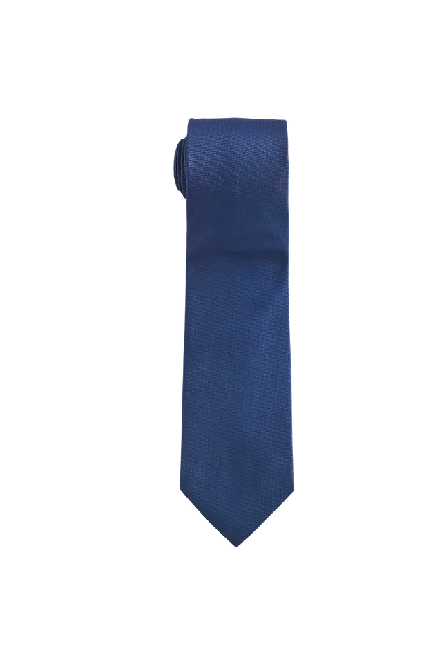 g-ssl-mann-von-welt-krawatte-aus-seide-blau image 1