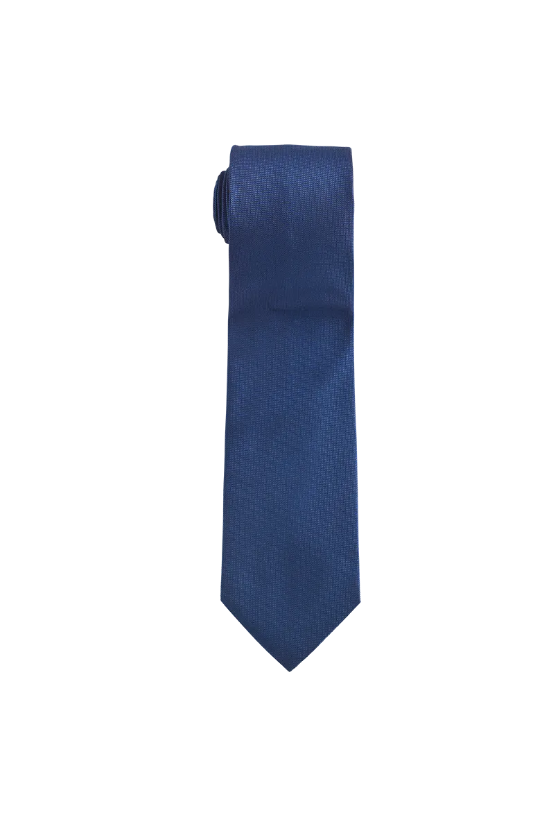 g-ssl-mann-von-welt-krawatte-aus-seide-blau image 1