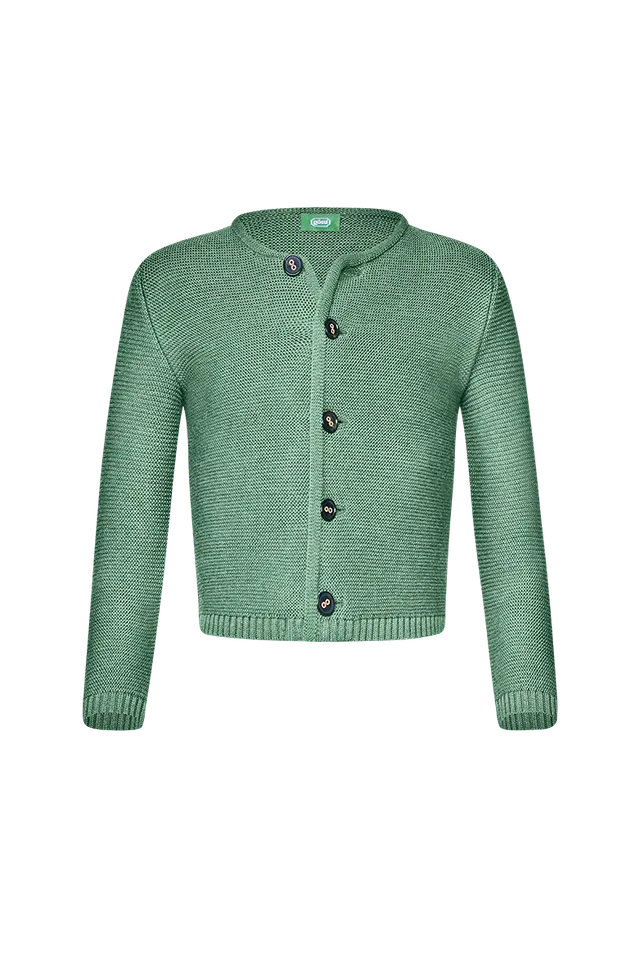 g-ssl-strickjackerl-kinder-gr-n-schurwolle-strickjacke image 1