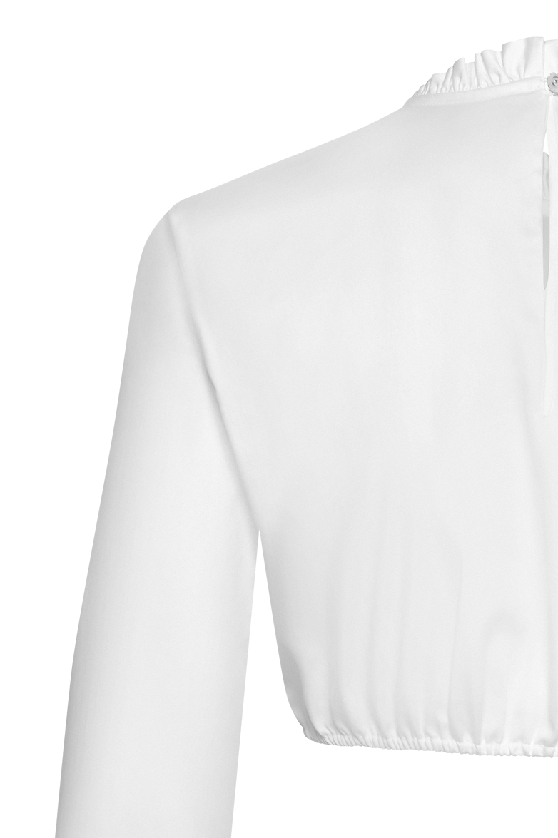 g-ssl-dirndlbluse-mit-rosen-anna-plochl-satin image 1