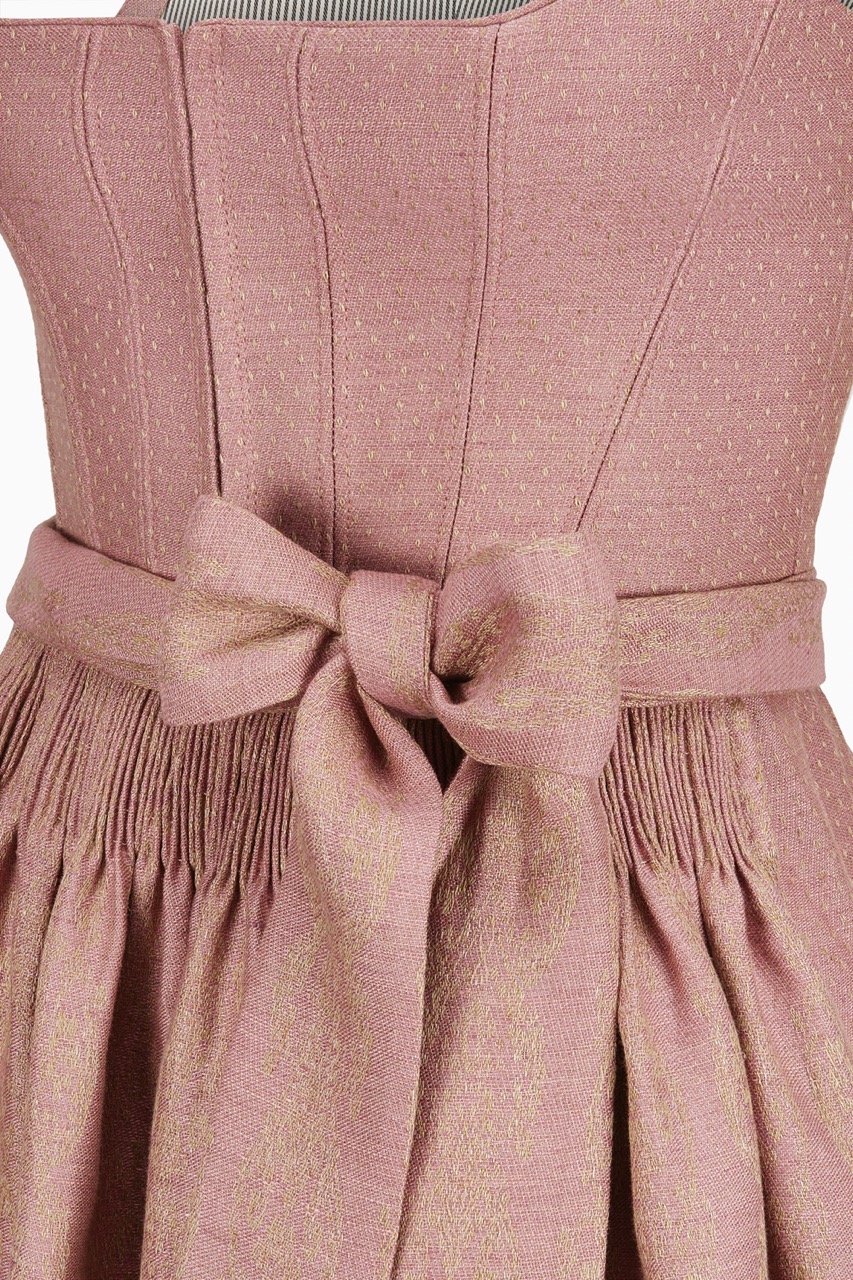 gottseidank-dirndl-antonia-gerader-ausschnitt-mit-haken image 4