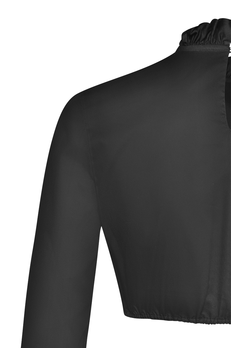 g-ssl-dirndlbluse-mit-rosen-anna-plochl-satin image 7