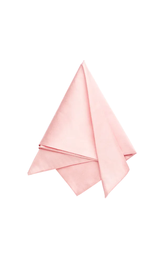 g-ssl-stecktuch-festlich-herren-seide-rosa image 1